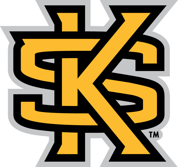 Kennesaw State Owls 2012-Pres Secondary Logo DIY iron on transfer (heat transfer)